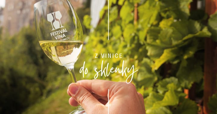 Wine tour – Túra po krumlovských viničkách
