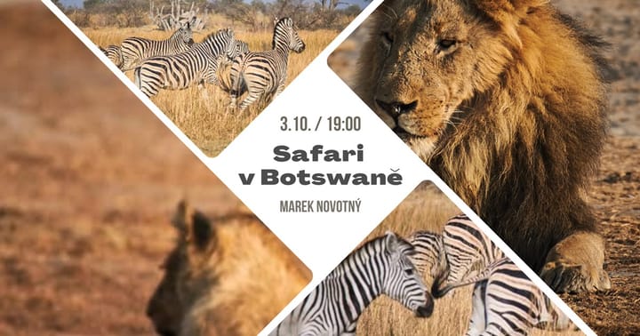 Safari v Botswaně