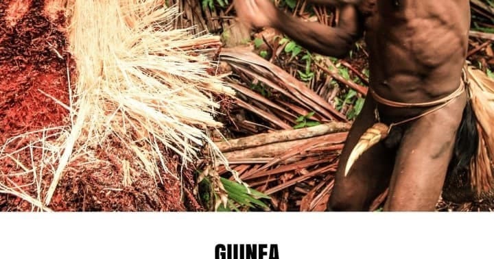Jakub Vágner - Guinea - Caminos