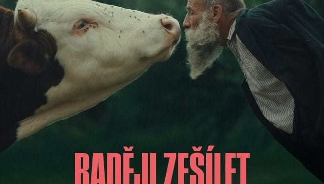 Raději zešílet v divočině