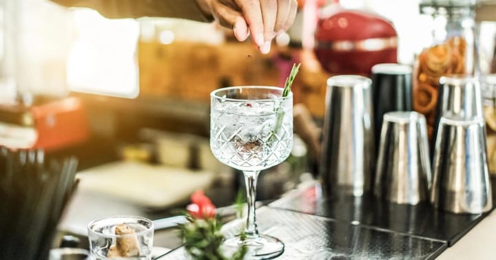 Gin&Tonic - řízená degustace s odborným výkladem