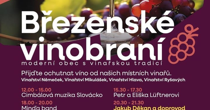 Vinobrani fin