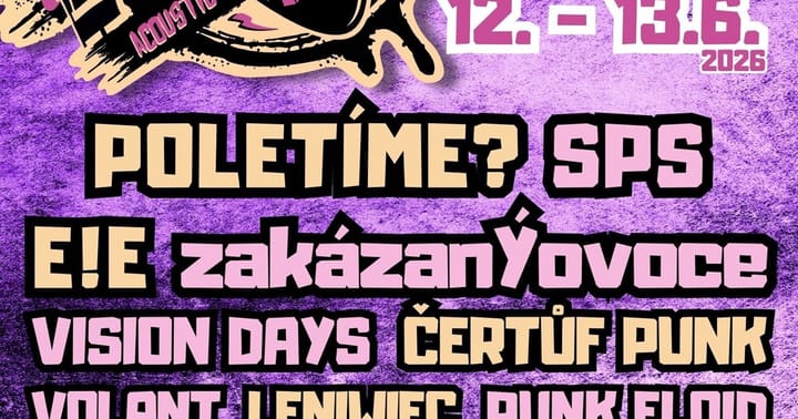 PUNKPLUGGED FESTIVAL vol. 4