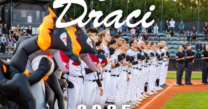 Czech Series: Draci Brno x Hroši Brno