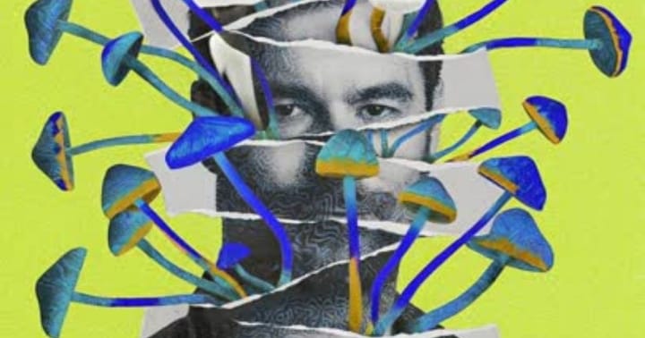 Tomáš Páleníček: Proč psychedelika?