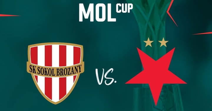 SK Sokol Brozany - SK Slavia Praha | sektor hostů