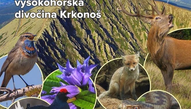 Krkonoše – Živá pokladnice přírody