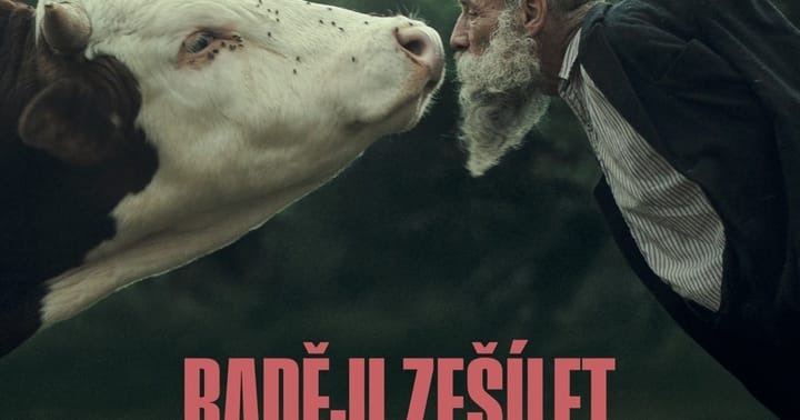 Raději zešílet v divočině | Kyjograf