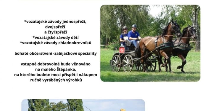 Sraz vozatajů a přátel koní