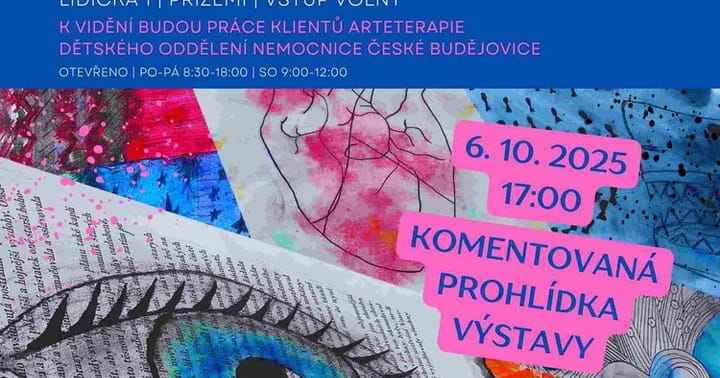 09 10 ARTETERAPIE NEMOCNICE CB doplnena prohlidka