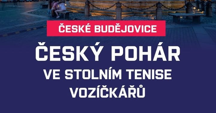 Český pohár