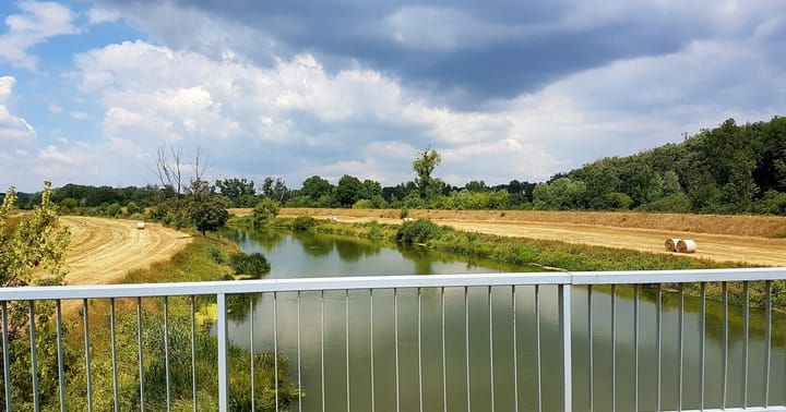 Dyje