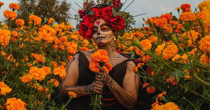 Día de los Muertos v Brně