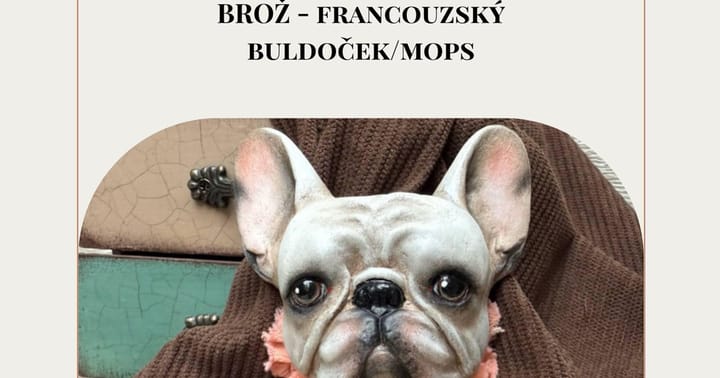 Jedinečný kurz: BROŽ - francouzský buldoček/mops