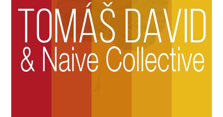 TOPOL a Tomáš David & Naive Collective v BABYLONU