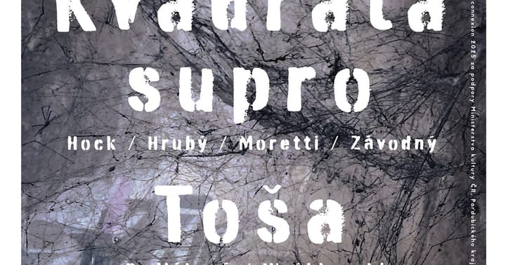 Kvadrata supro (CZ/IT/HU) • Toša