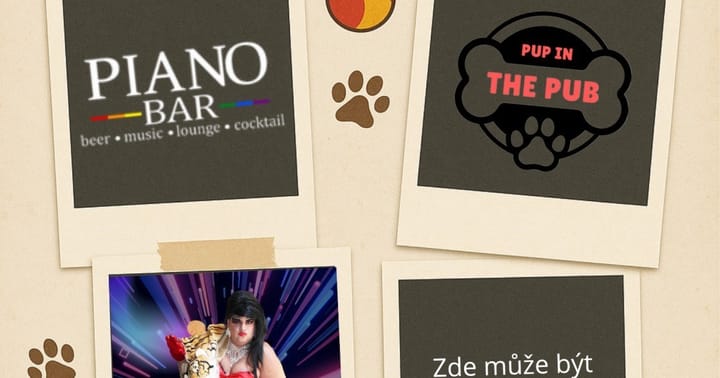 Pup in the Pub vol.10 - Tenkrát v PIANU