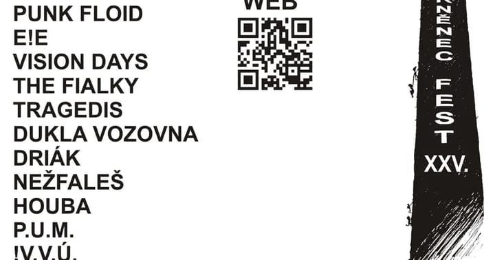 BRNĚNECFEST XXV. aneb punkovej klystýr