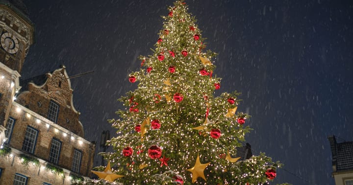 Vánoční stromeček