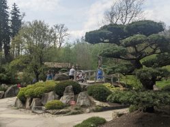 Japonská zahrada v ZOO Zlín