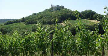 Hrad Falkenstein: Skrytý klenot plný historie a vinařské tradice