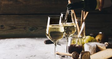 Znojemské historické vinobraní 2024: Vstupenky a program