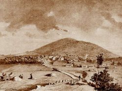 Václav Jansa, Louňovice pod Blaníkem (1891)