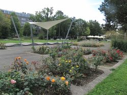 Botanická zahrada a Rozárium v Olomouci
