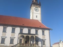 Magistrát města Olomouc