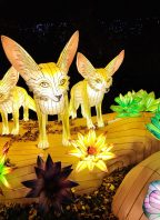 Světelná zoo zcela poprvé v Česku