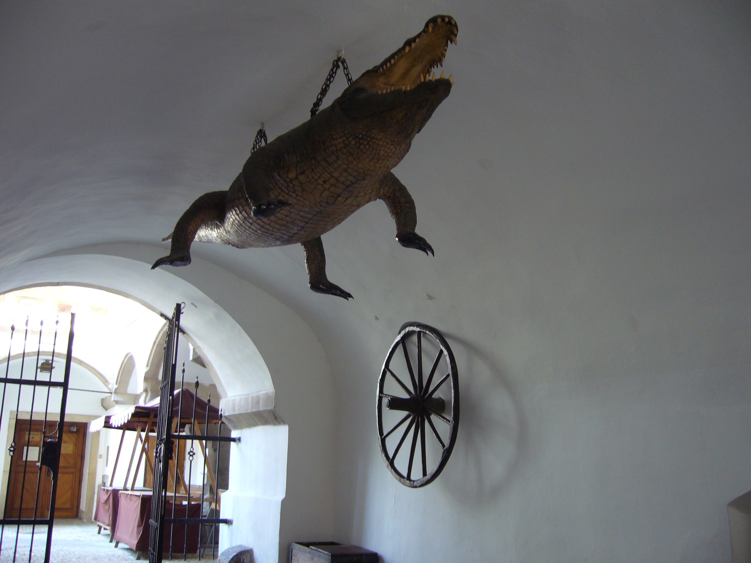 Brněnský drak