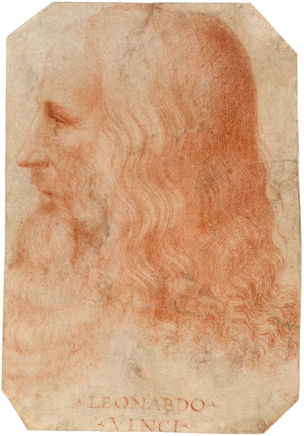 Francesco Melzi - Portrait of Leonardo
