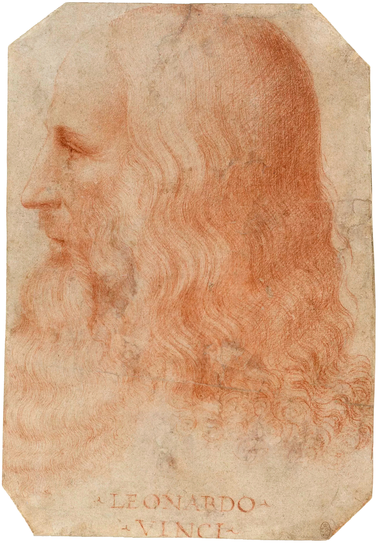 Francesco Melzi - Portrait of Leonardo