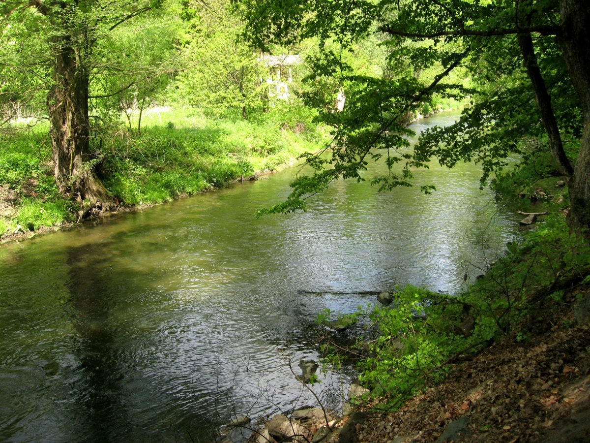Svitava mezi Bílovicemi a Brnem