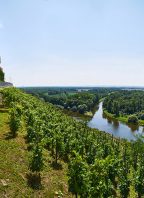 Vyhlášení výsledků Národní soutěže vín vinařské oblasti Čechy
