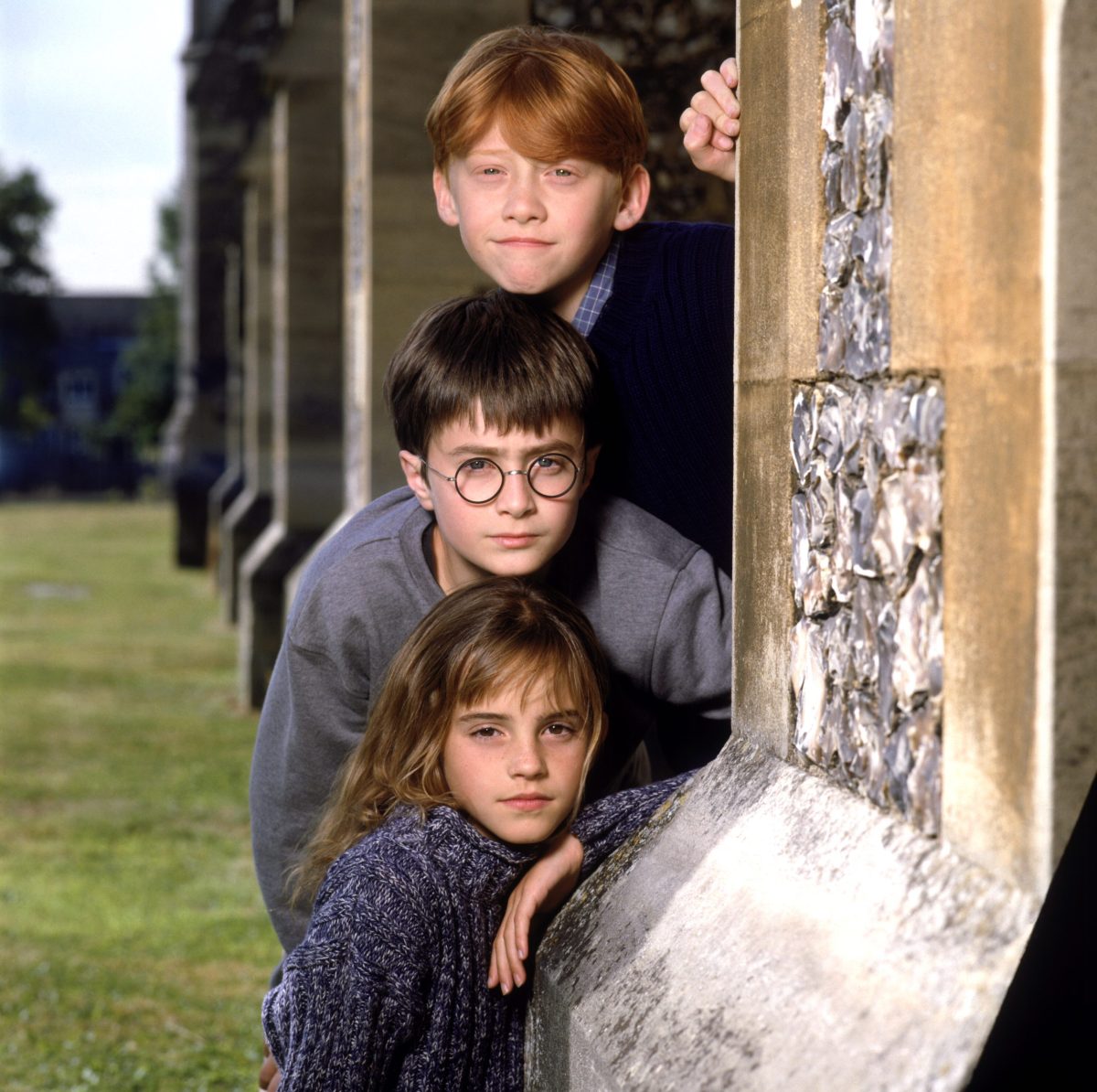 Harry Potter, Harmiona, Ronald