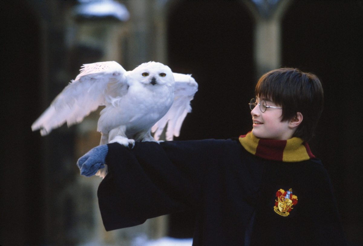 Harry Potter a Hedvika