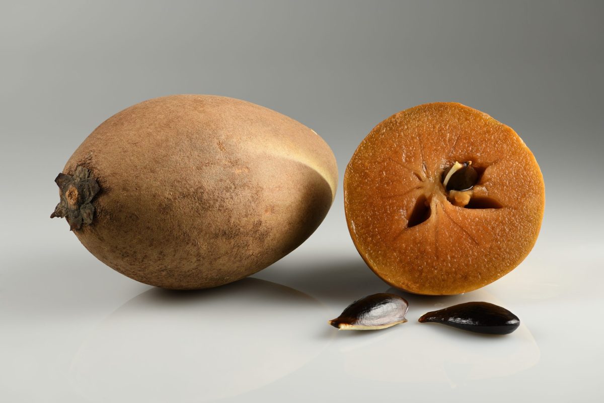 Sapodilla_Malay_with_seeds