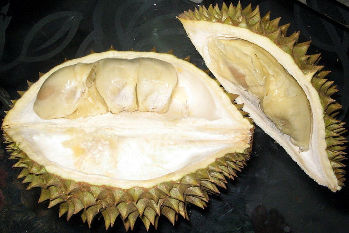 Durian.