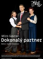 Dokonalý partner