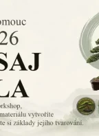 Bonsaj škola