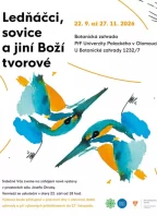 Ledňáčci, sovice a jiní Boží tvorové