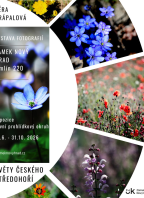 Výstava fotografií Věry Drápalové – Květy Českého středohoří