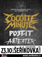 Cocotte Minute – rádi bychom se proslavili, než umřeme tour.