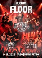 Rockin‘ Floor