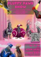 Fluffy Paws Show