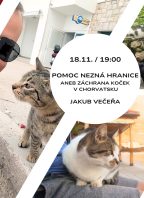 Pomoc nezná hranice aneb Záchrana koček v Chorvatsku