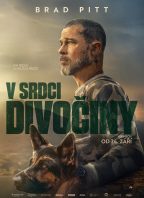 V srdci divočiny