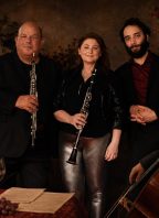 DEMOS Ensemble: Vrcholný romantismus | Komorní koncert