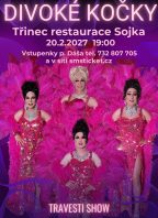 Travesti show Divoké kočky Třinec